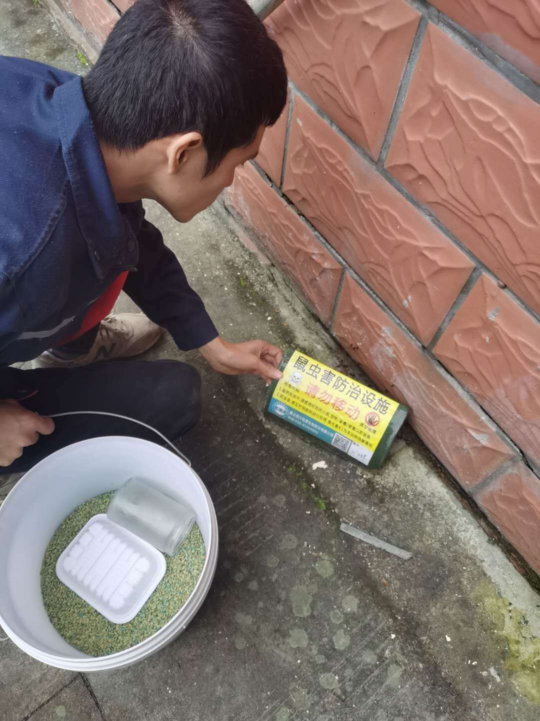 凉山彝族自治州除四害
